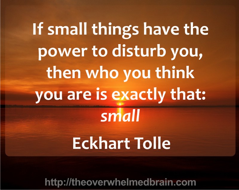 small eckhart tolle empowered small stuff
